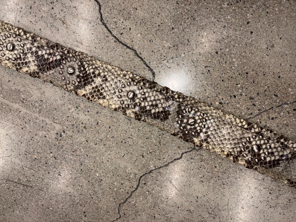 뱀피 파이톤 스네이크 스터드 가죽 벨트 상품이미지1