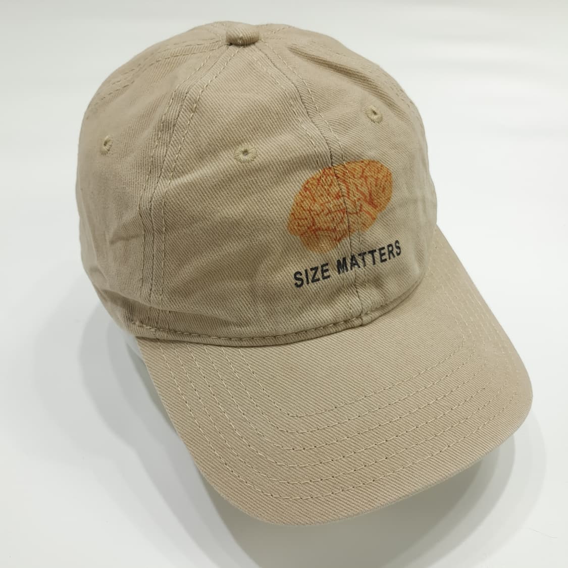 Brain Size Matter Beige 볼캡 P1305 상품이미지2