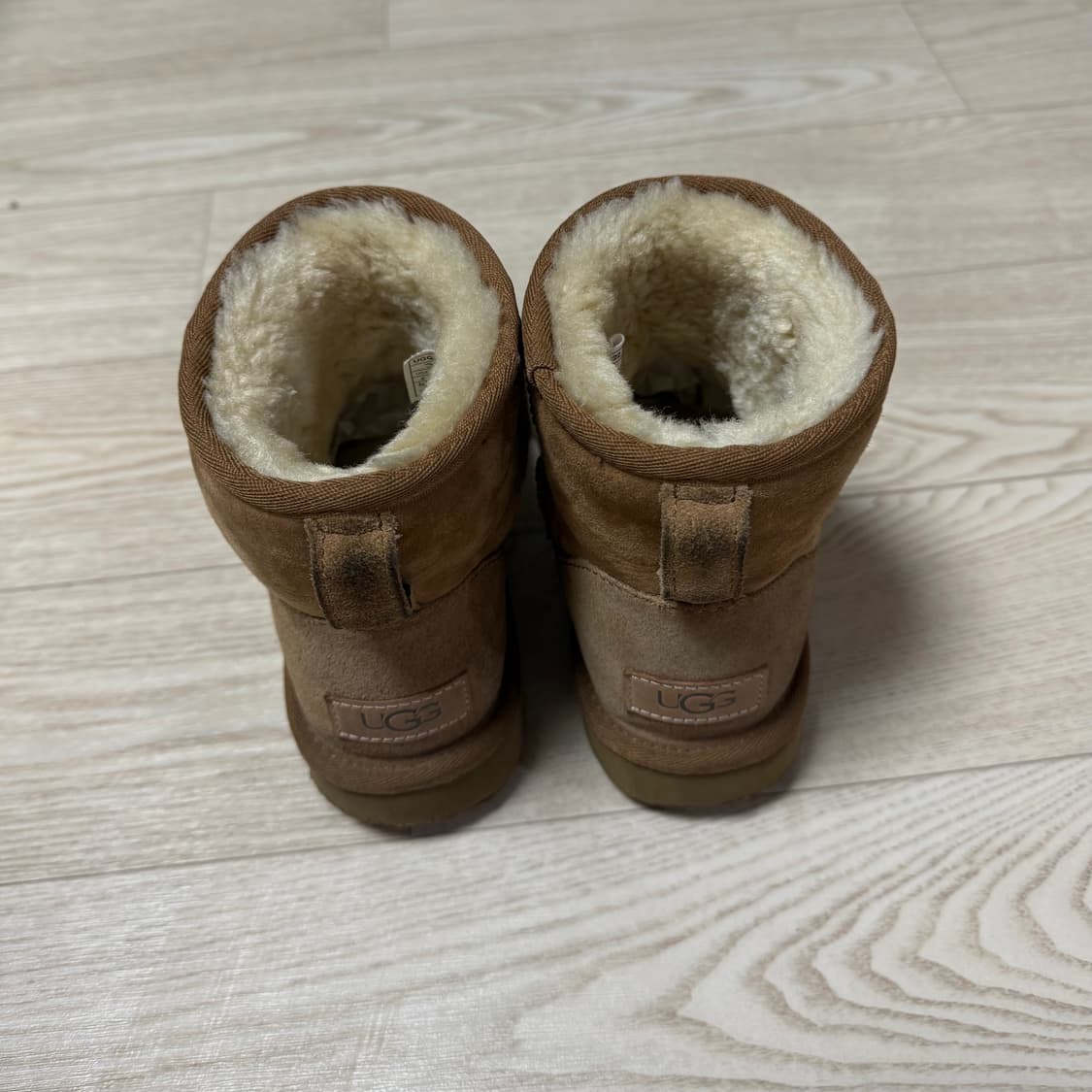 미국어그 클래식 미니(220) 상품이미지2