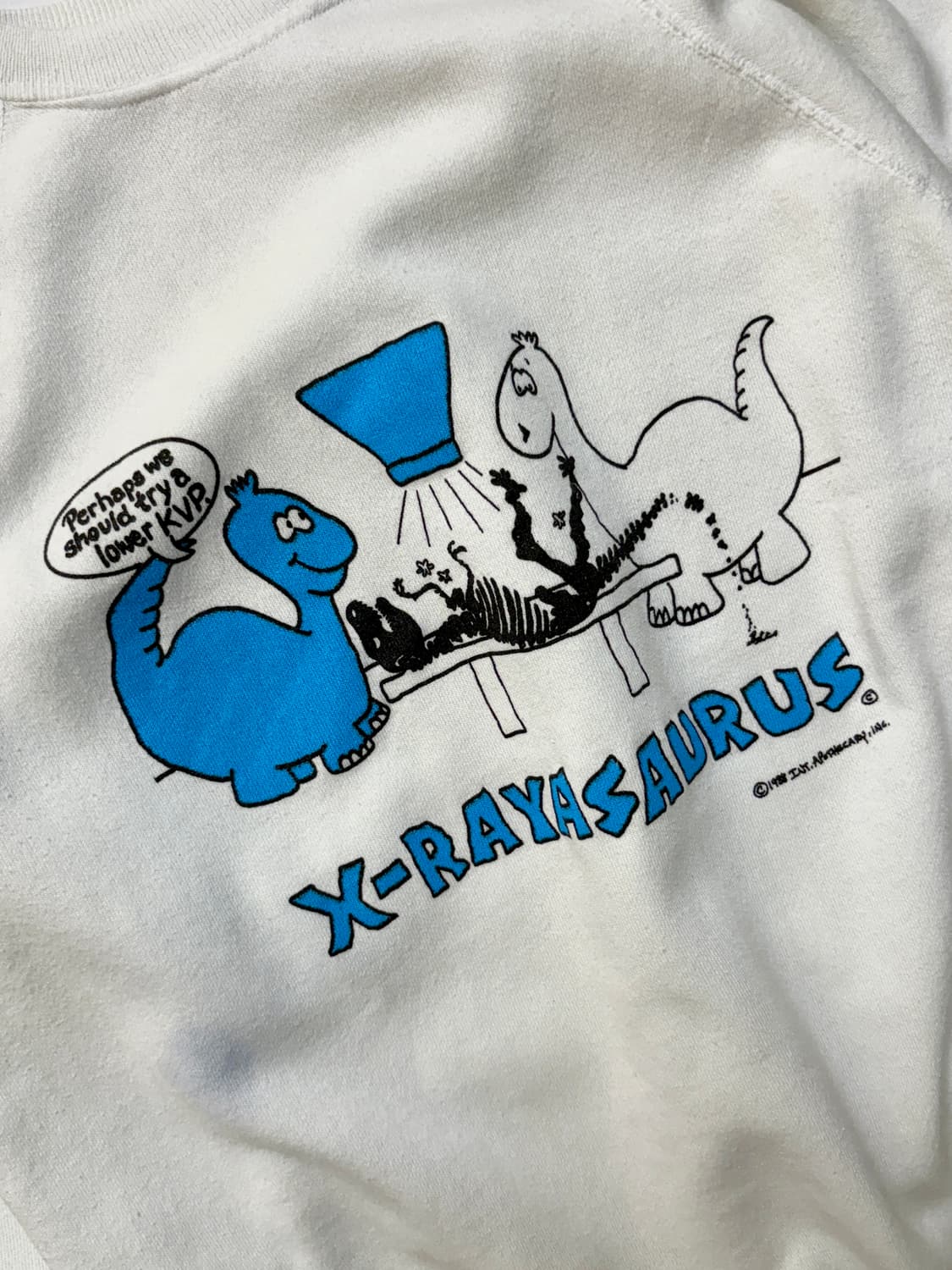 [XL] Hanes USA X-RAYSAURUS 스웻셔츠 상품이미지2
