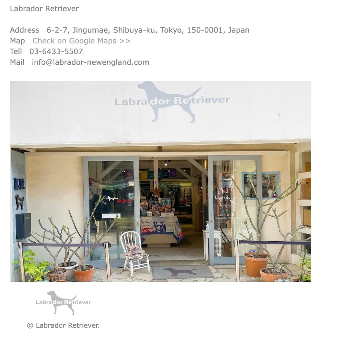 Labrador Retriever 반팔티셔츠 상품이미지6