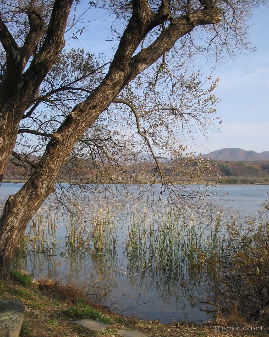 (풀박스)초소형/뉴트럴톤 작례🩷 Canon IXY L 캐논 디카 카메라 상품이미지8
