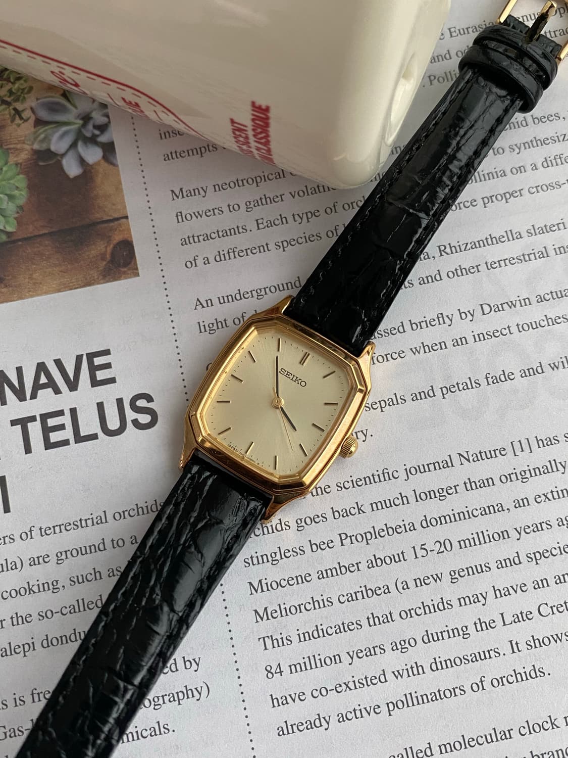 Seiko 스퀘어 골드 쿼츠 상품이미지4