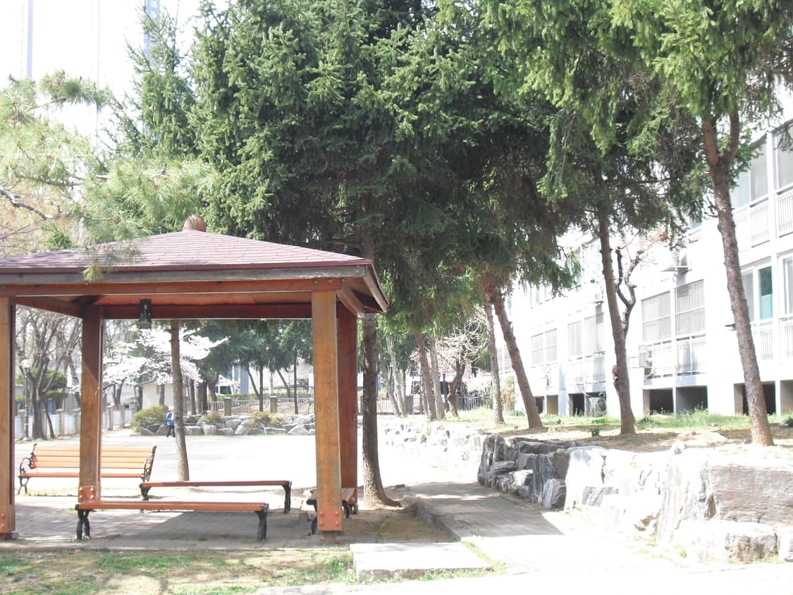 풀박스 / 작례O) 카시오 엑슬림 Z1 디카 디지털카메라 상품이미지10