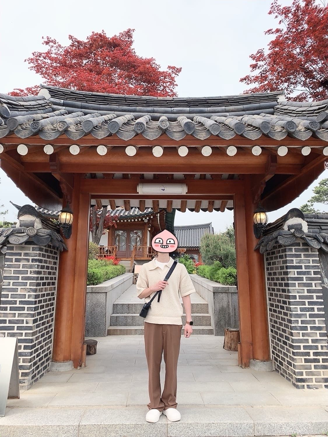 [2] 엠엠지엘 MMGL 니트 카라티 상품이미지3
