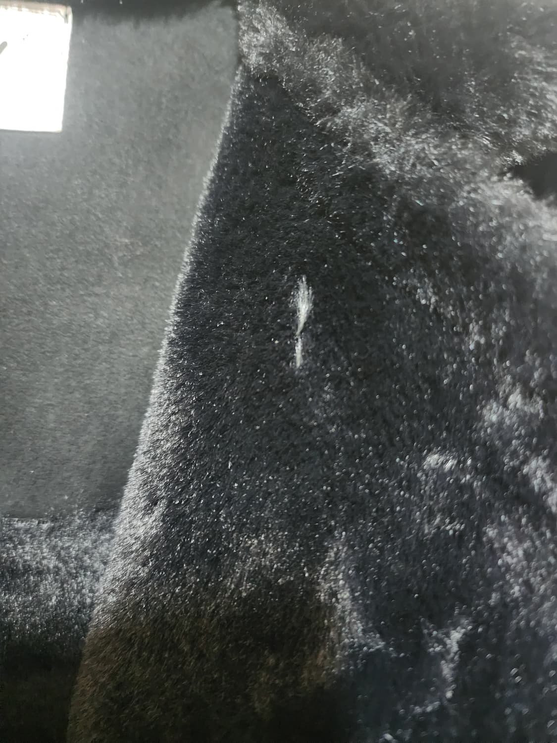 블랙 퍼배색 무스탕 상품이미지4