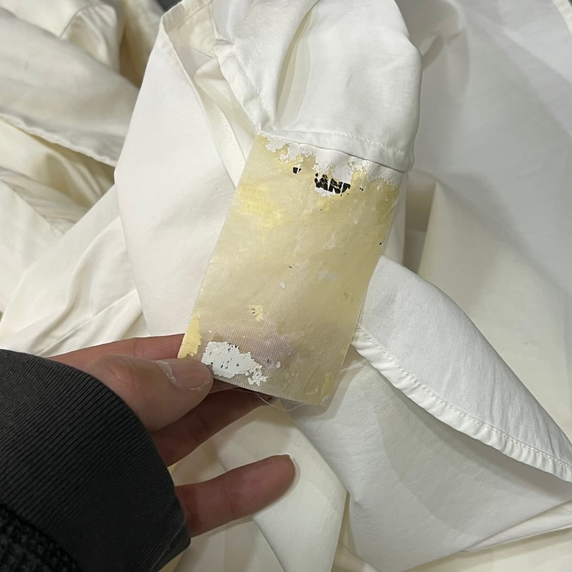  질샌더 히든 버튼 하프 셔츠 y16017 상품이미지8