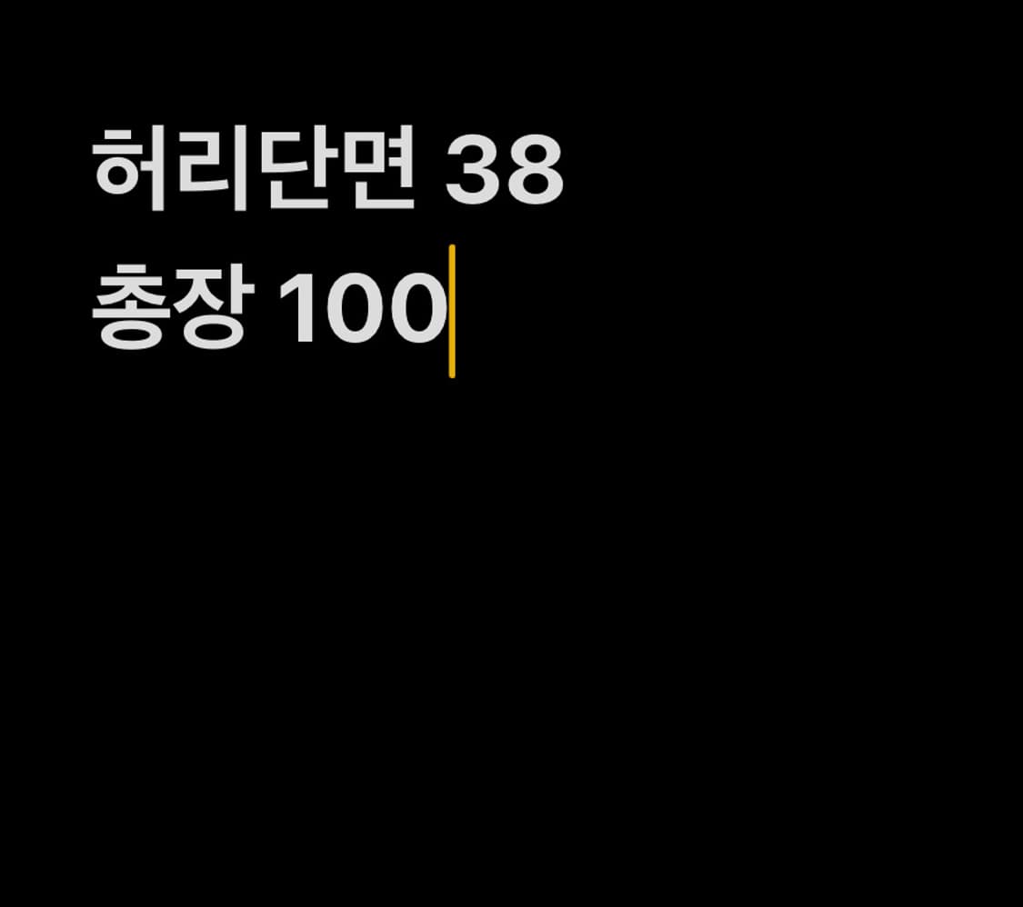 트루릴리전 진청 슬림핏 팬츠 상품이미지7