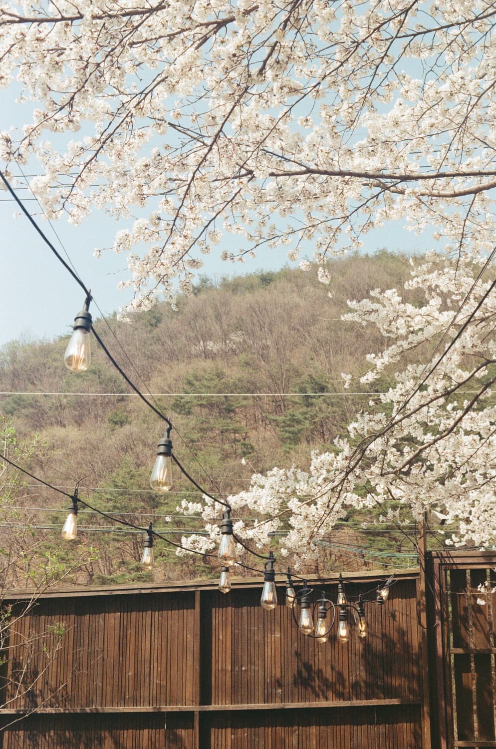 (작례있음)필름카메라 펜탁스 미슈퍼 상품이미지4