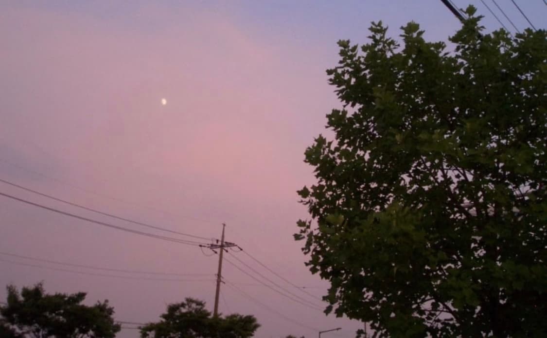 Casio Exilim EX-S100 실버💿 작례0 상품이미지5