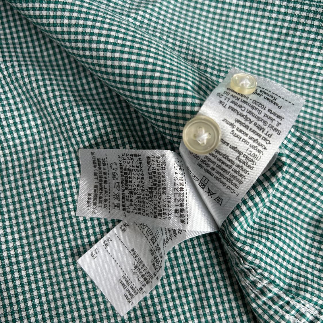 라코스테 긴팔 그린 셔츠 상품이미지4