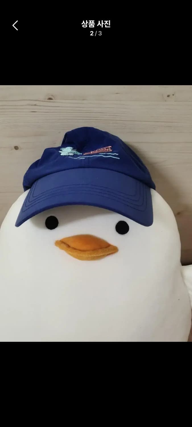 bear logo cap in blue 상품이미지1