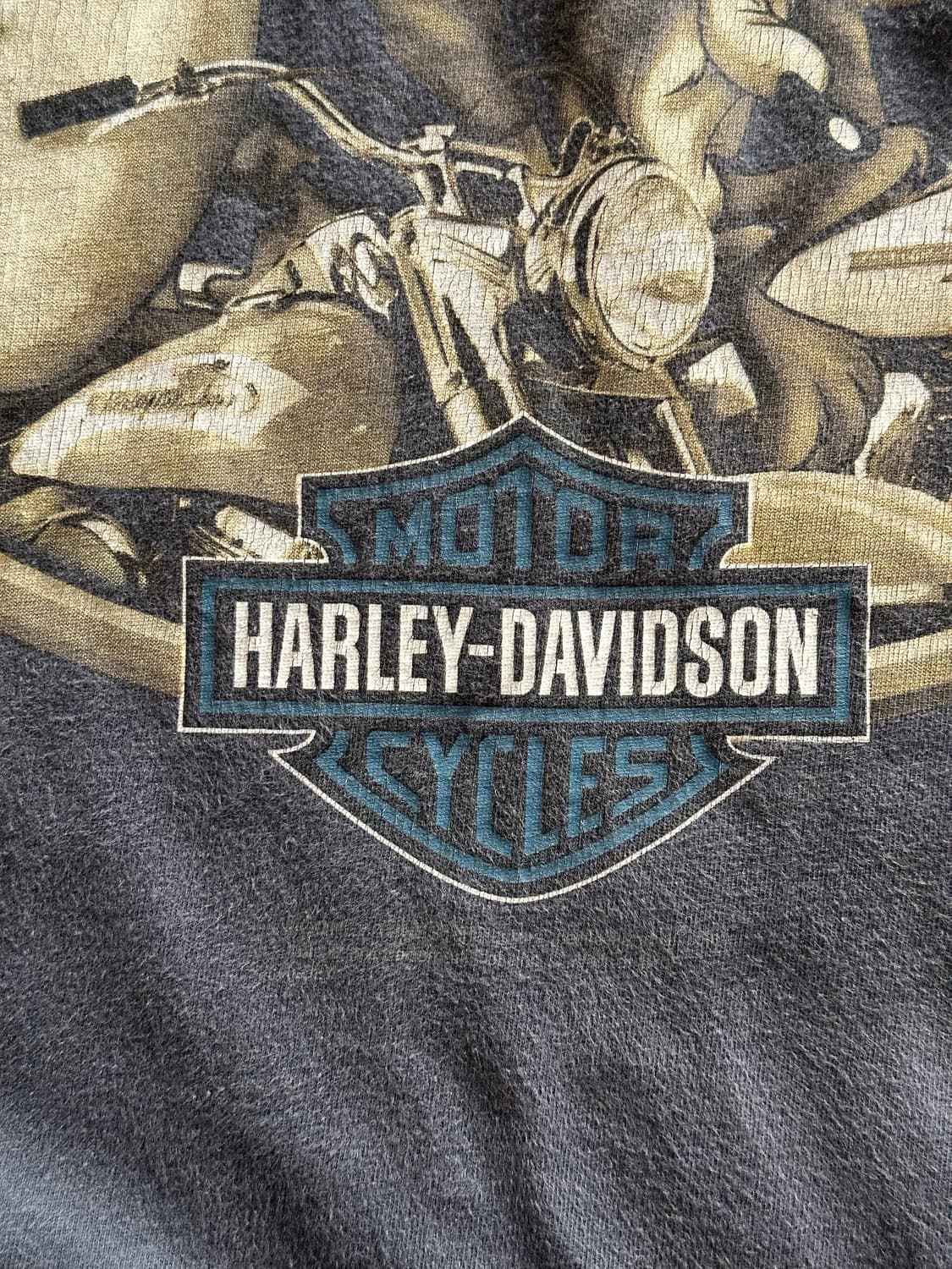 할리데이비슨 x 루니툰즈 태즈&코요테 티셔츠 - 2XL 상품이미지5