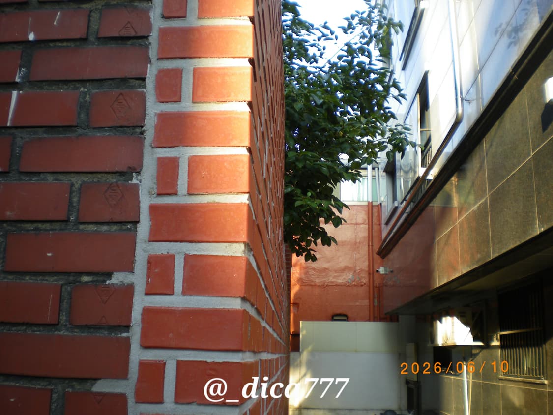 펜탁스 옵티오 E70 디카 상품이미지7