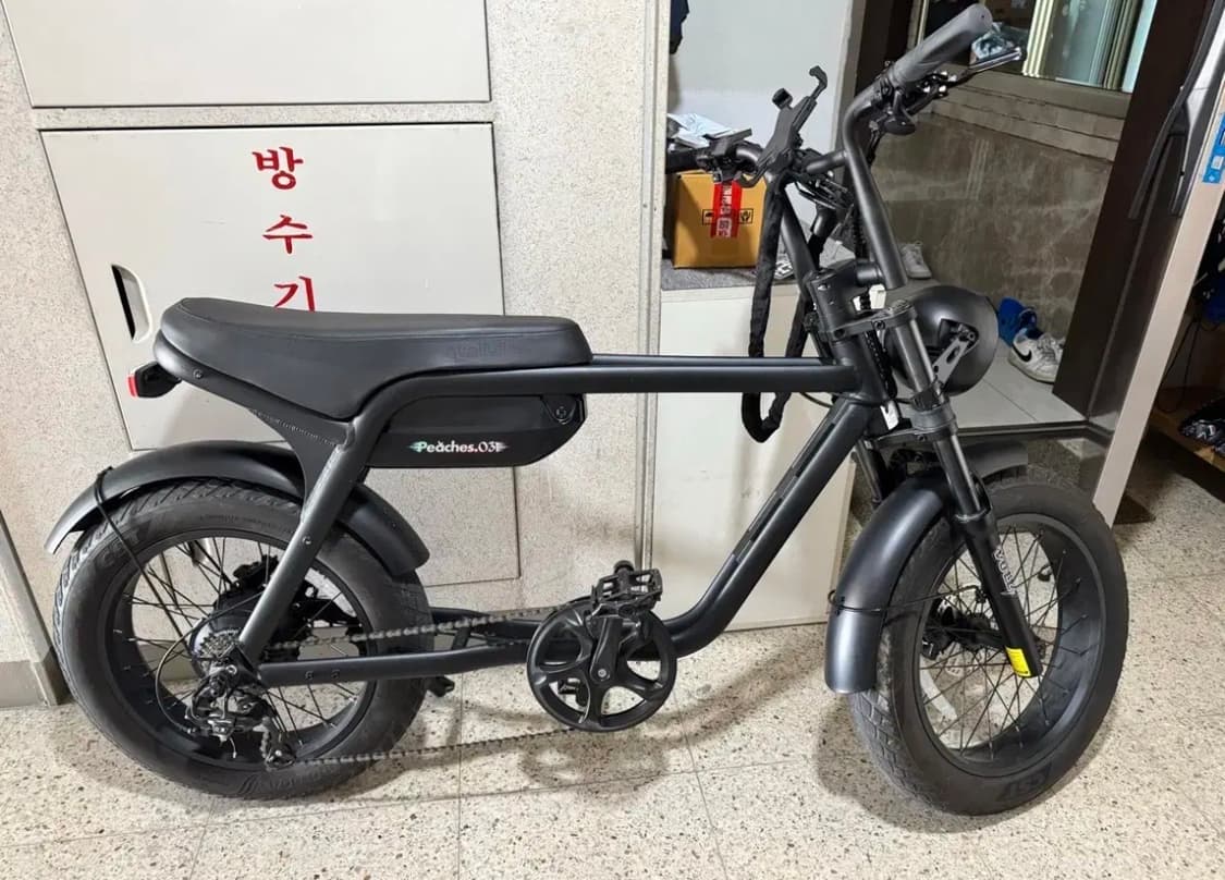 퀄리 스포츠 볼트 B 자토바이 상품이미지3