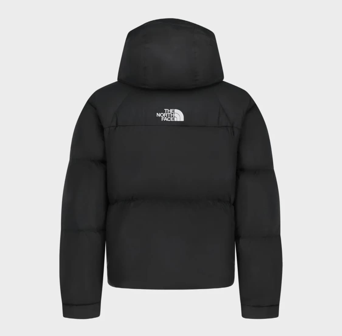 [새상품] M) 노스페이스 화이트라벨 프로젝트 다운 자켓 (RDS) 상품이미지2