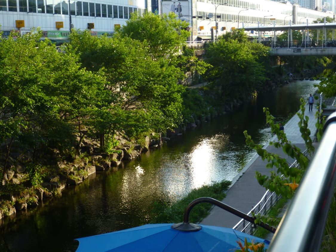 디카 / 파나소닉 루믹스 Panasonic LUMIX dmc-fx75 상품이미지6