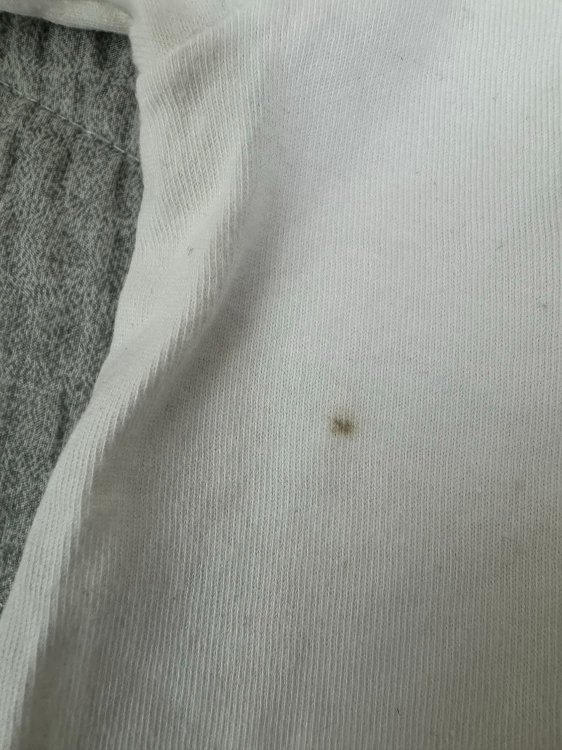 stussy 스투시 하마 반팔티셔츠 상품이미지4