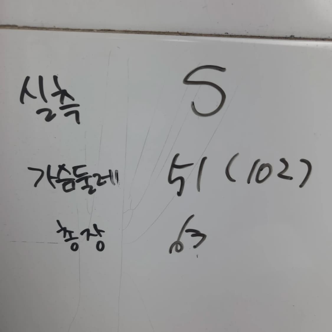 여S 쉬즈미스 핑크 반팔 블라우스 상품이미지7