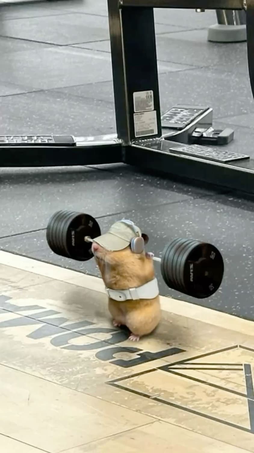 마르지엘라 엘보우 블랙 맨투맨,니트 구합니다 상품이미지1