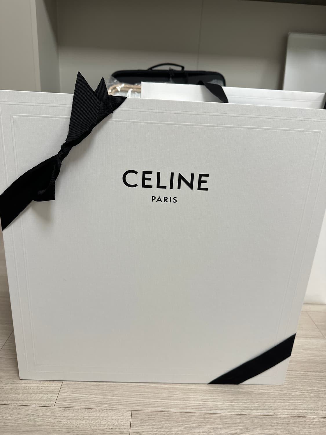 Celine 트리옹프 캔버스 백팩 새상품 풀박스 상품이미지3