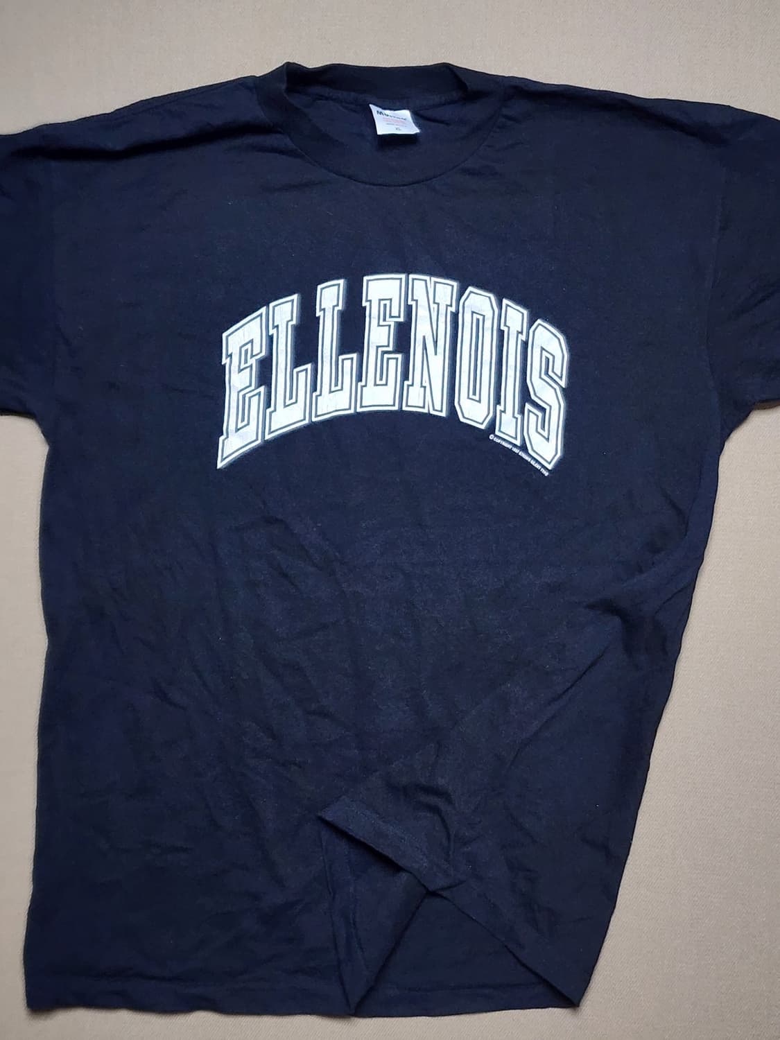90s USA ELLENOIS 컬리지 티셔츠101 상품이미지5