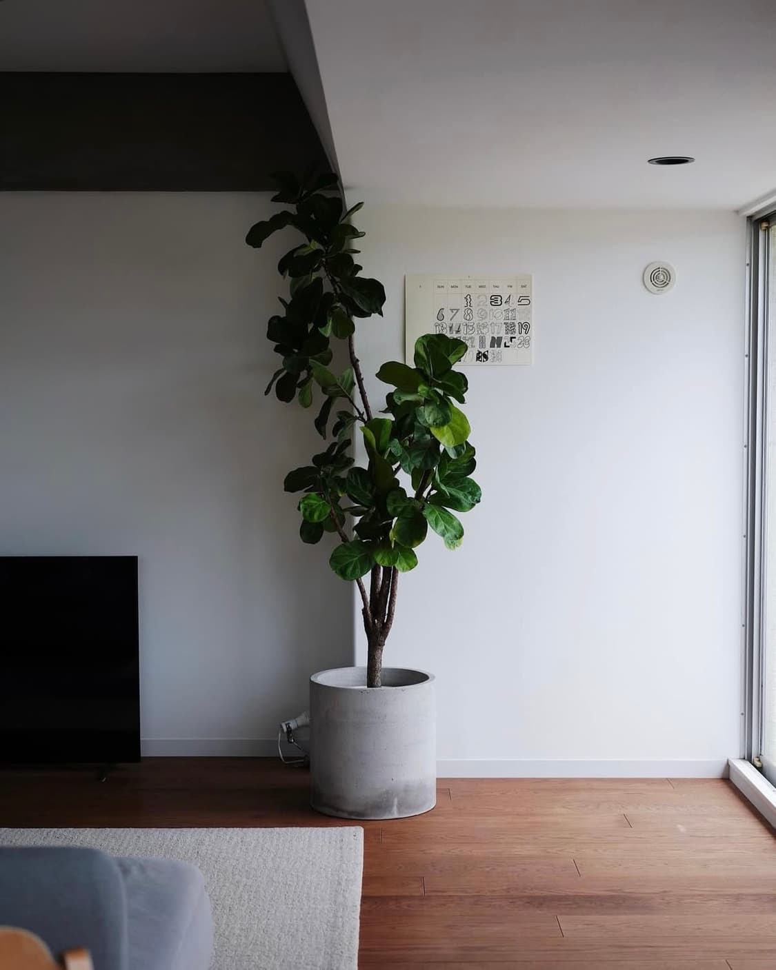 Tezzo Suzuki 2026 캘린더 상품이미지6