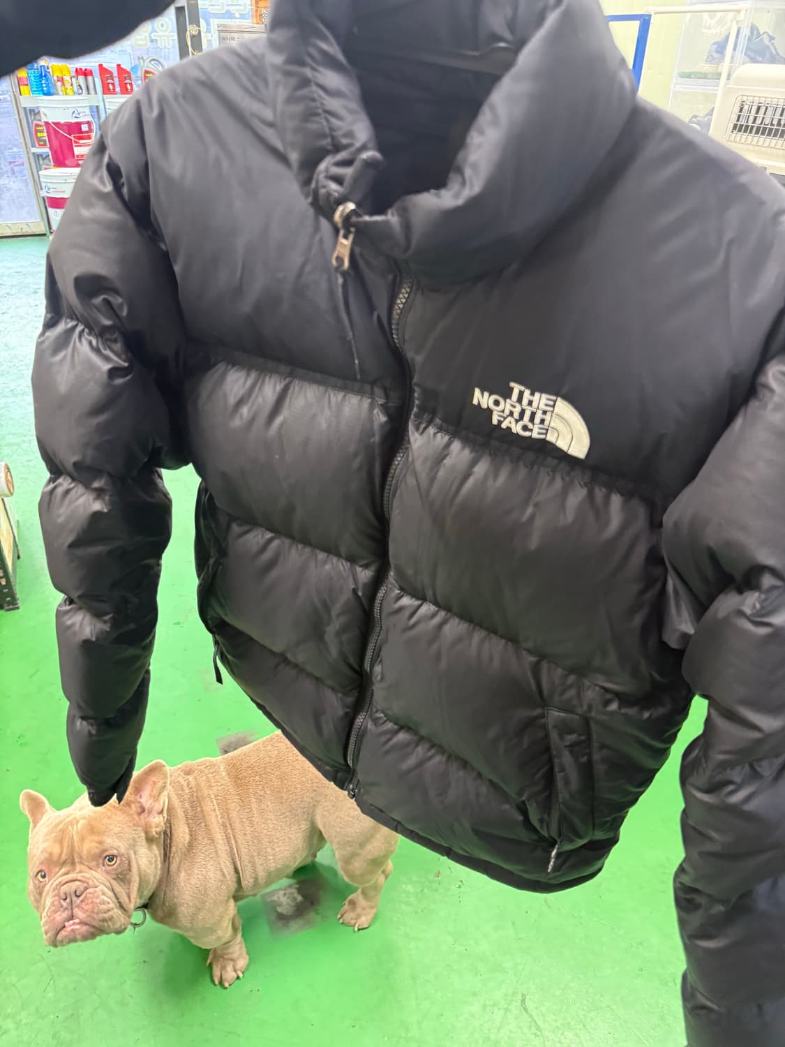 노스페이스 에코 눕시패딩 상품이미지3