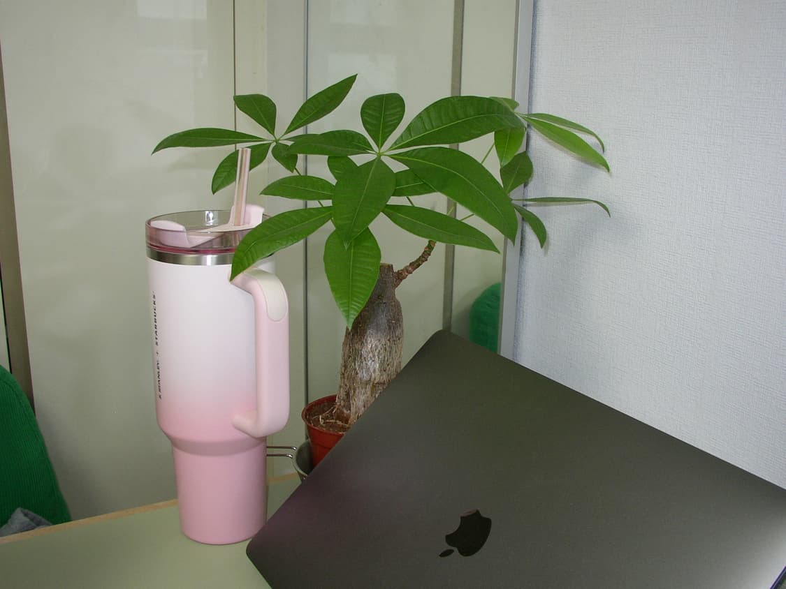 올림푸스 카메디아 D-550 ZOOM 빈티지 디지털카메라 상품이미지10