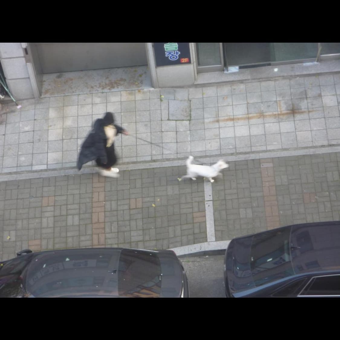 파나소닉 DMC-FT1  메탈릭 오렌지 선셋🍊빈티지 디카 디지털카메라 상품이미지7