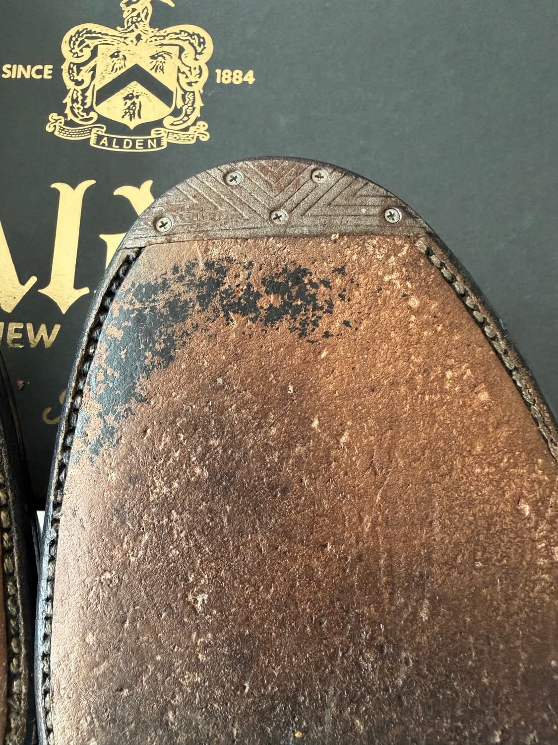 알든 모디파이드 v팁 9.5D 코도반 상품이미지4