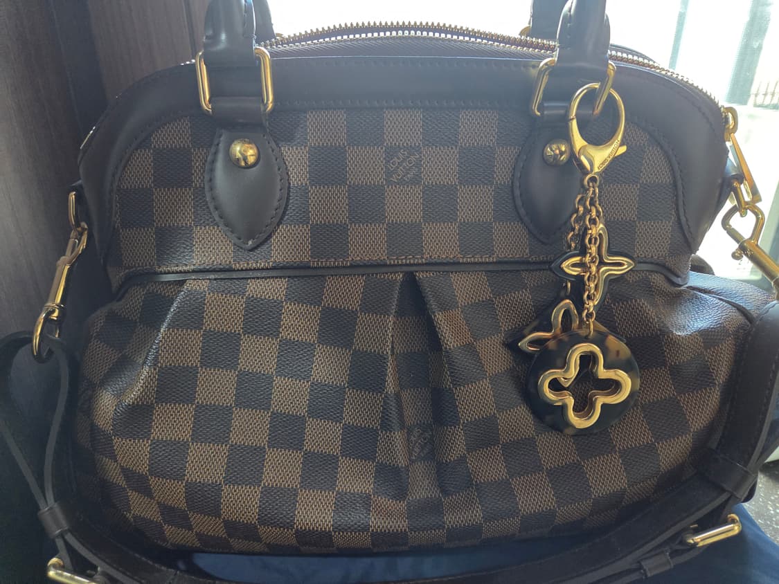 루이비통 트레비백 캔버스PM 다미에 에벤 상품이미지1