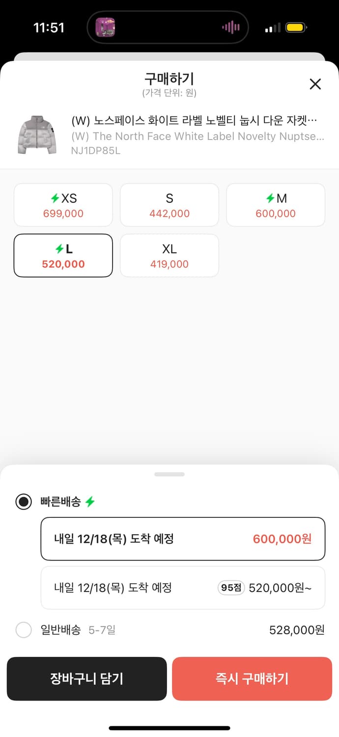 노스페이스 화이트라벨 눕시 아이스그레이 L 상품이미지3