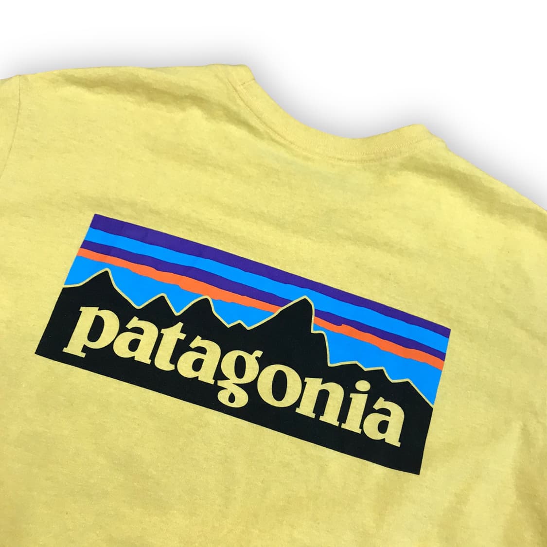 파타고니아 반팔티 상품이미지3