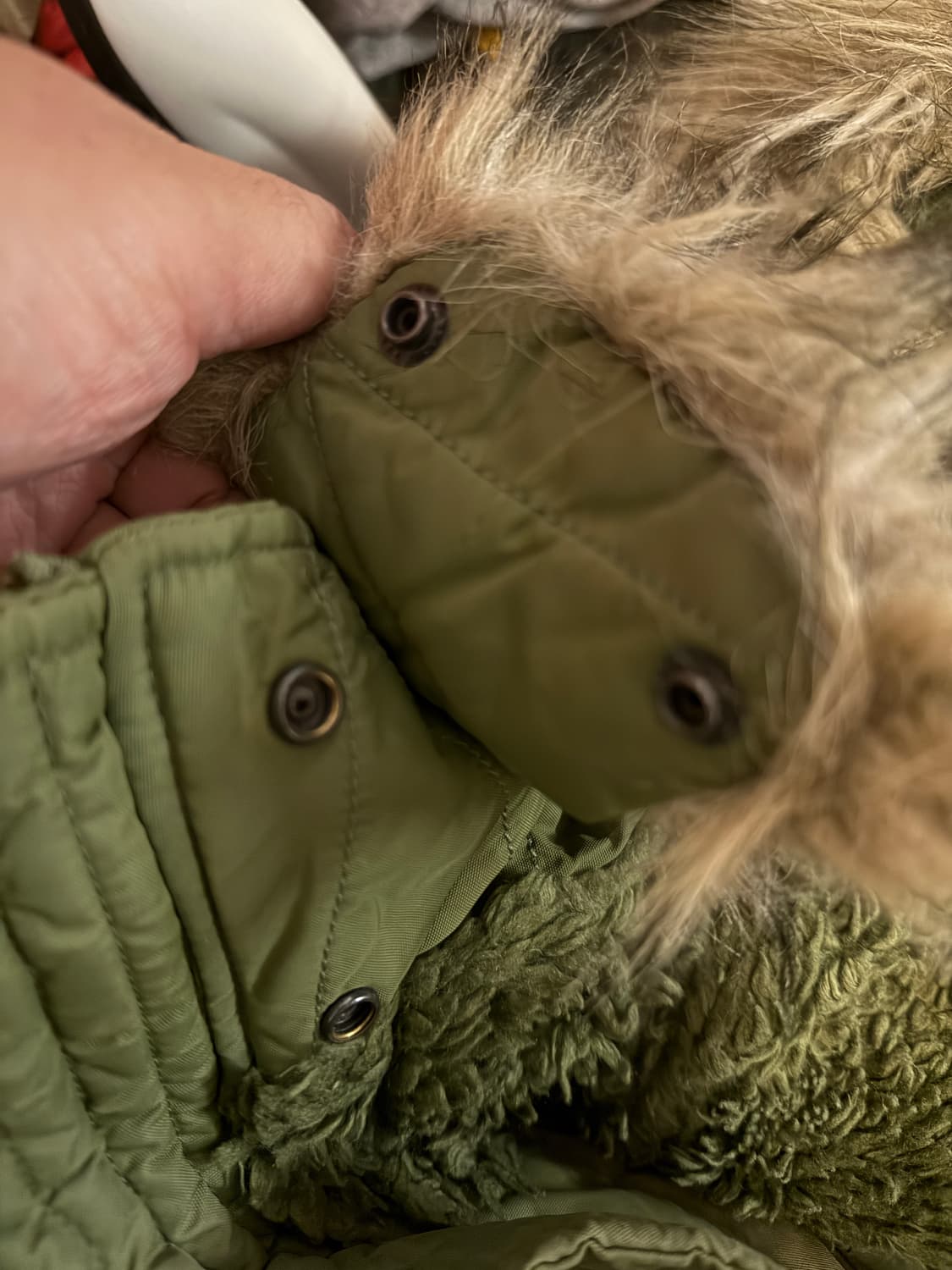 DENIM & SUPPLY 랄프로렌 N3B 덕다운파카 M 상품이미지8