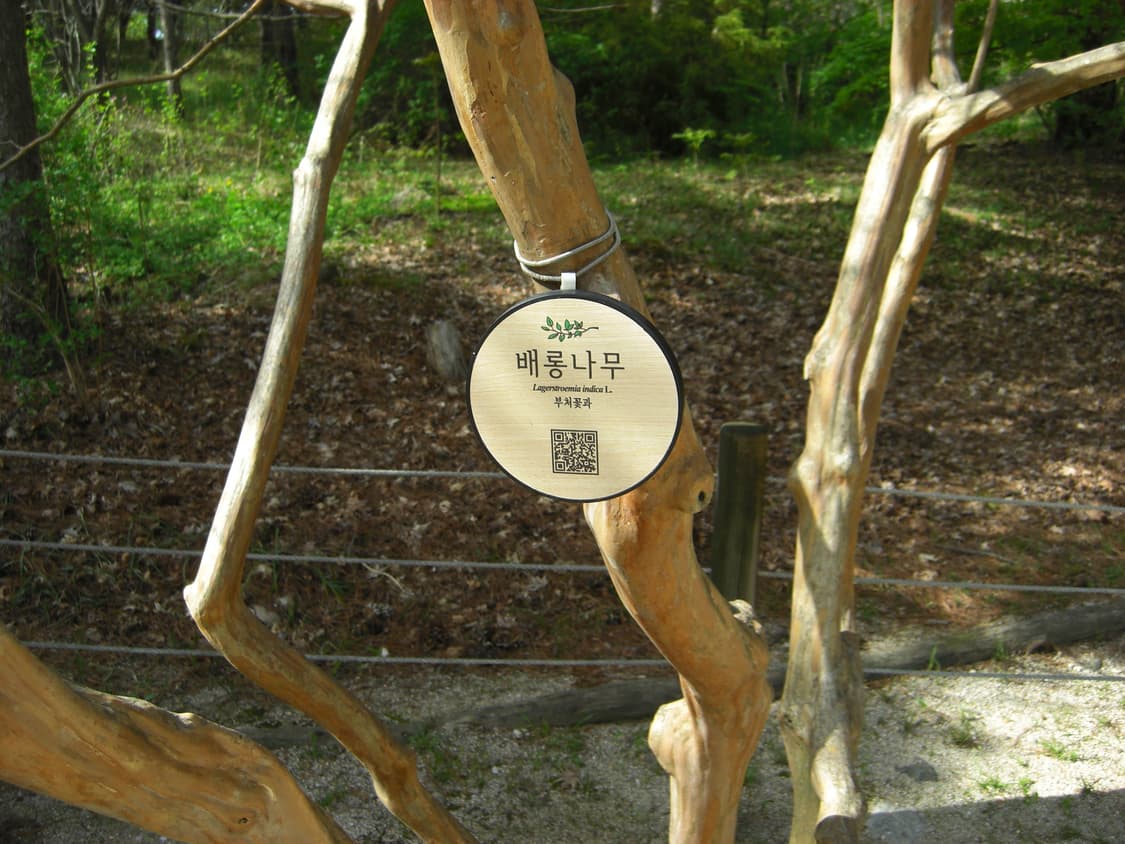 작례O) 카시오 엑슬림 z1080 빈티지 디카 Casio 상품이미지8