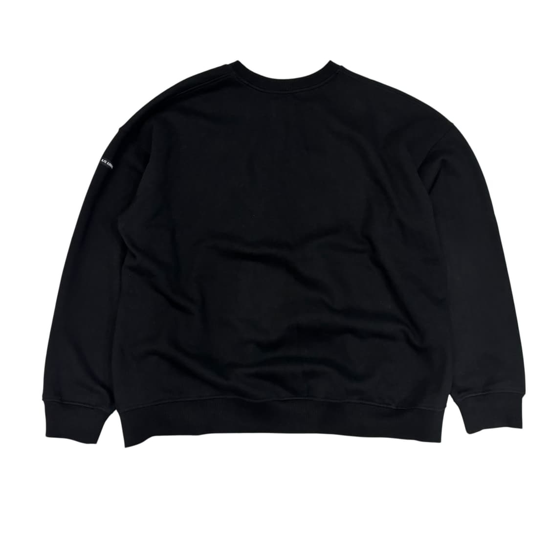 아조바이아조 엠브로이드 오버사이즈 스웻셔츠 상품이미지5