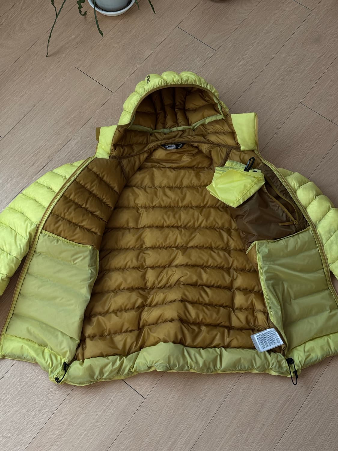 [S] 아크테릭스 세륨 후디 오라클 상품이미지9