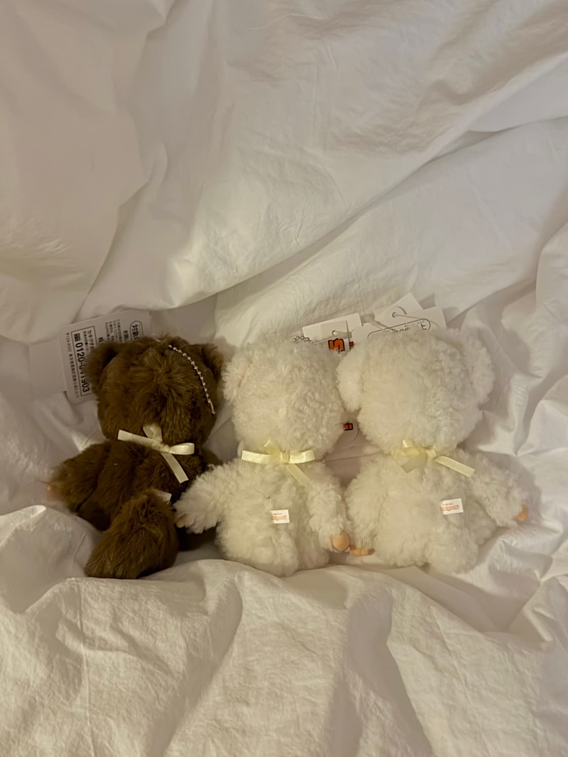 몬치치 토모다치 너구리 양 타누 키링 상품이미지2