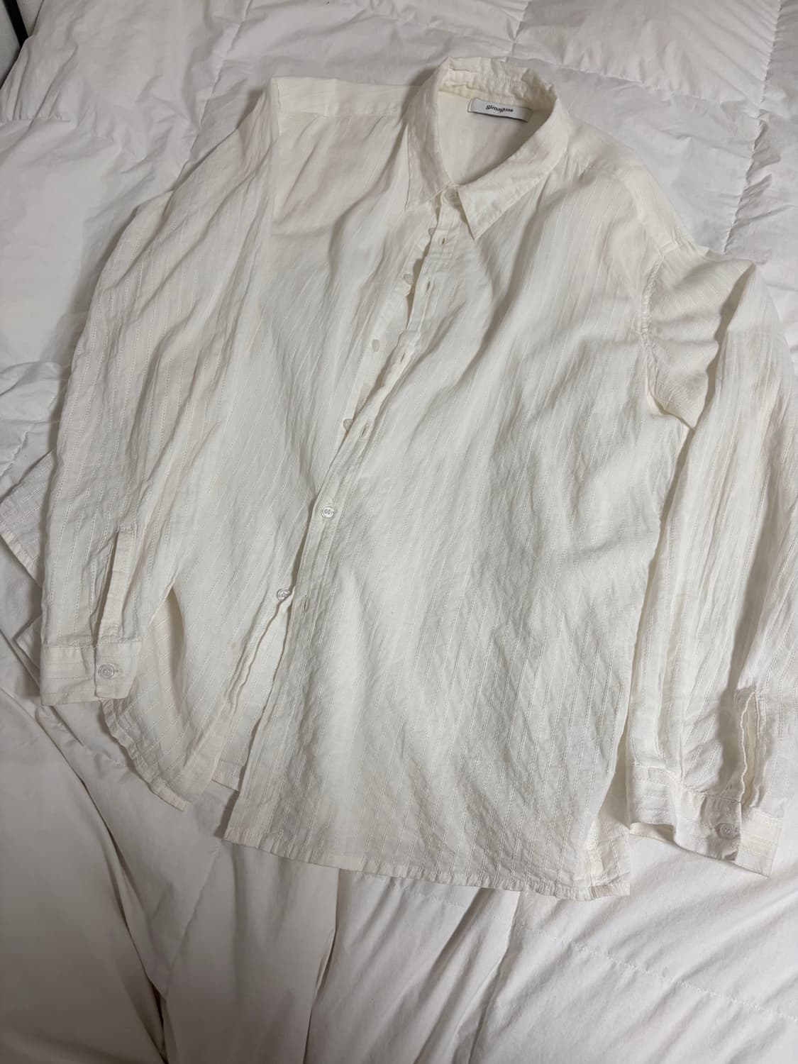 기마구아스 BEAU 셔츠 상품이미지3