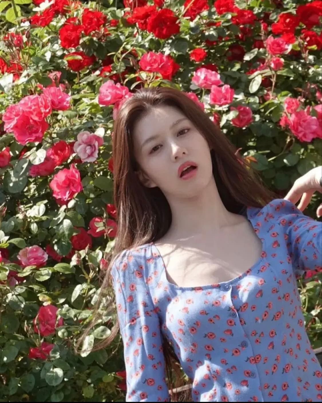 Reformation 리포메이션 고윤정 jorja 블라우스 상품이미지2