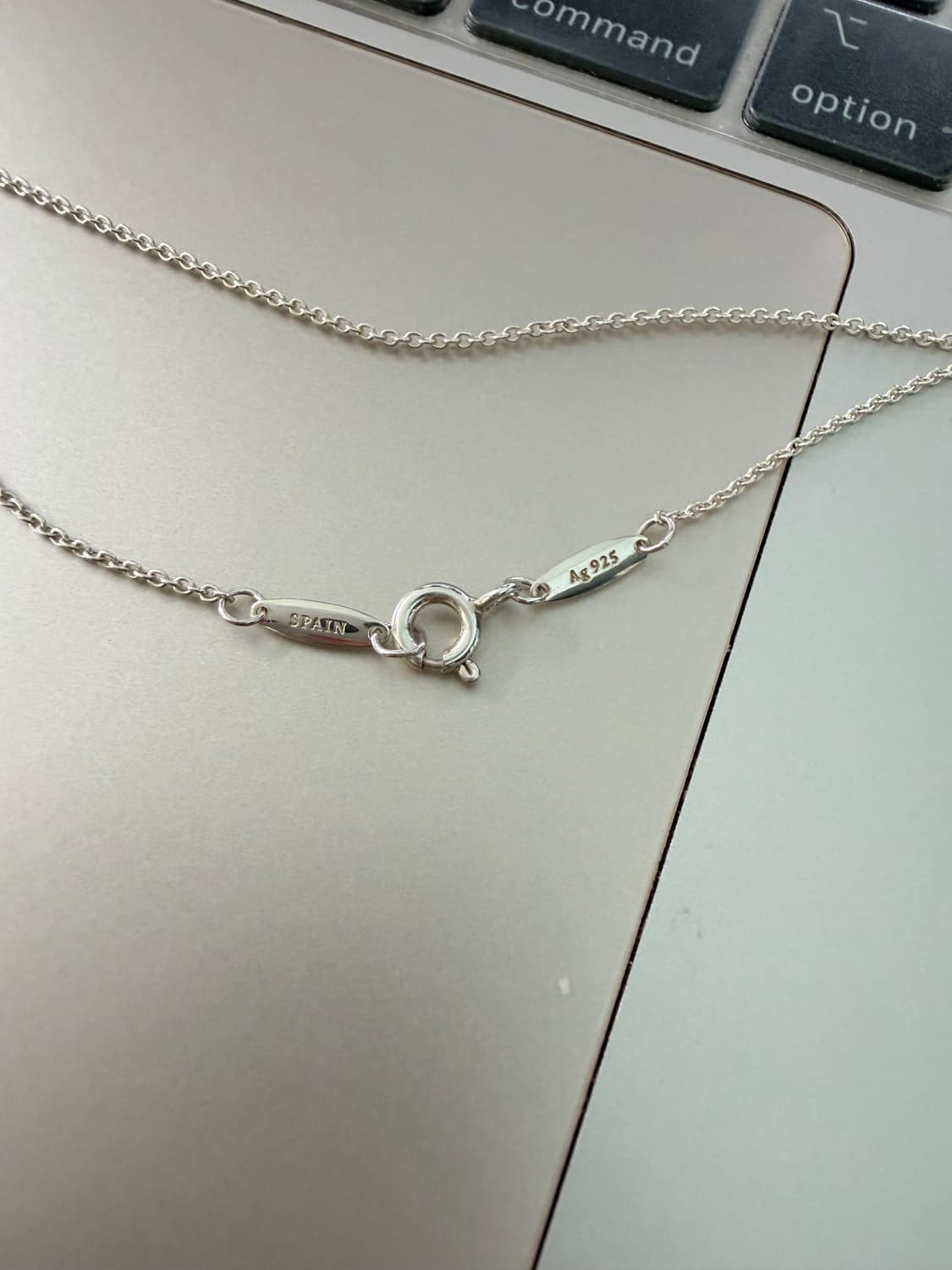 신형 티파니앤코 티어드롭 목걸이 상품이미지2