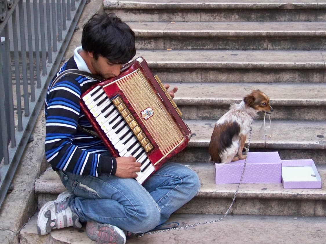 Pentax Optio V20 (펜탁스 옵티오 V20) 상품이미지10