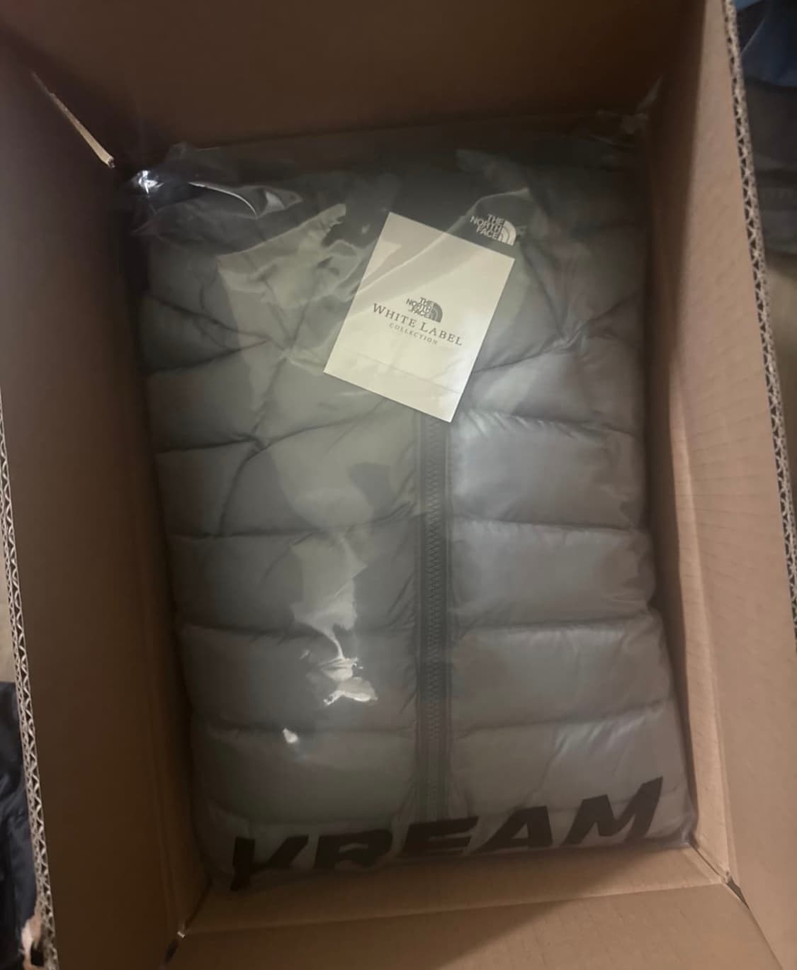 노스페이스 벤투스 실버XL 상품이미지2