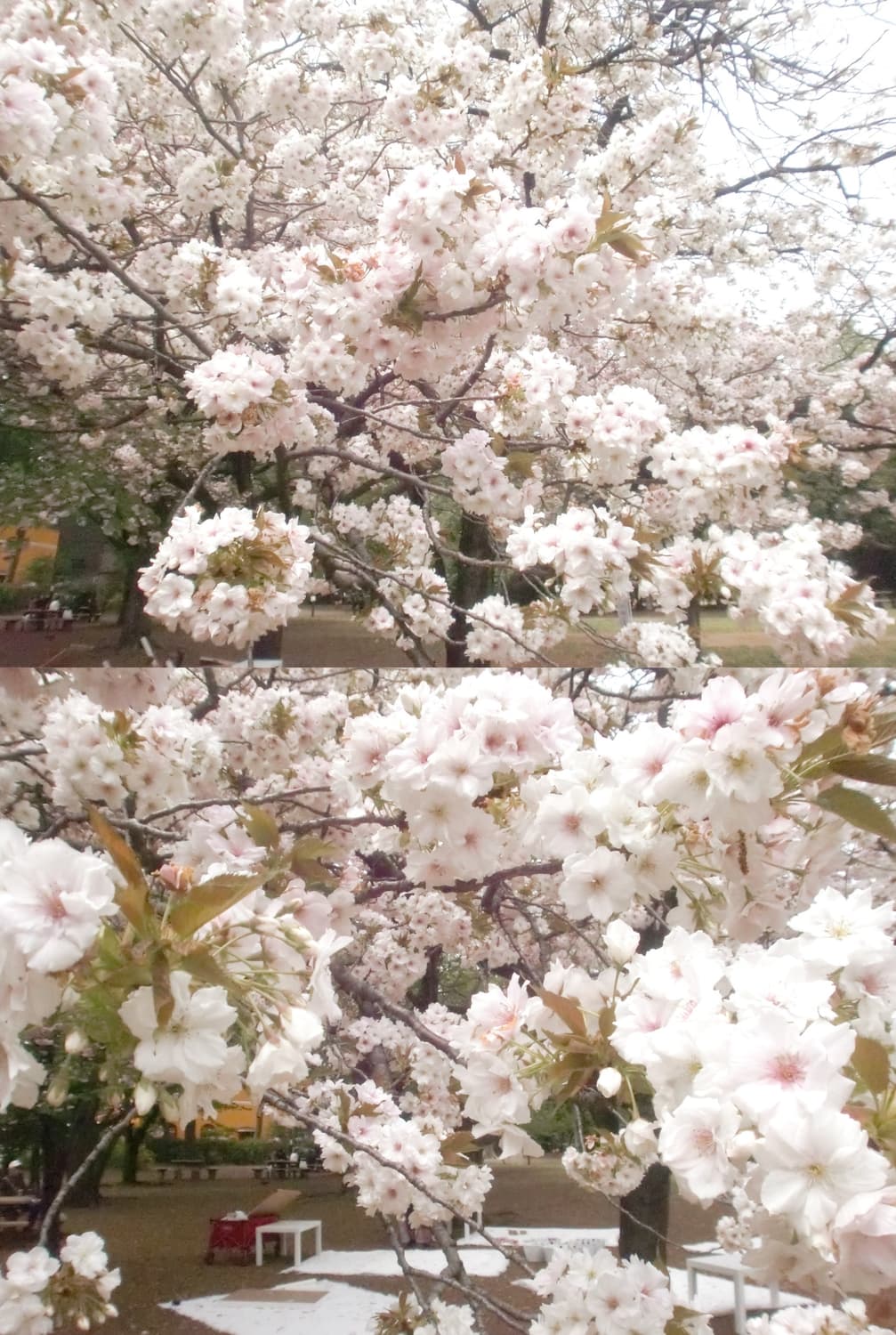 메이크업모드, 작례있음 / Casio Exilim ex-z270 상품이미지4