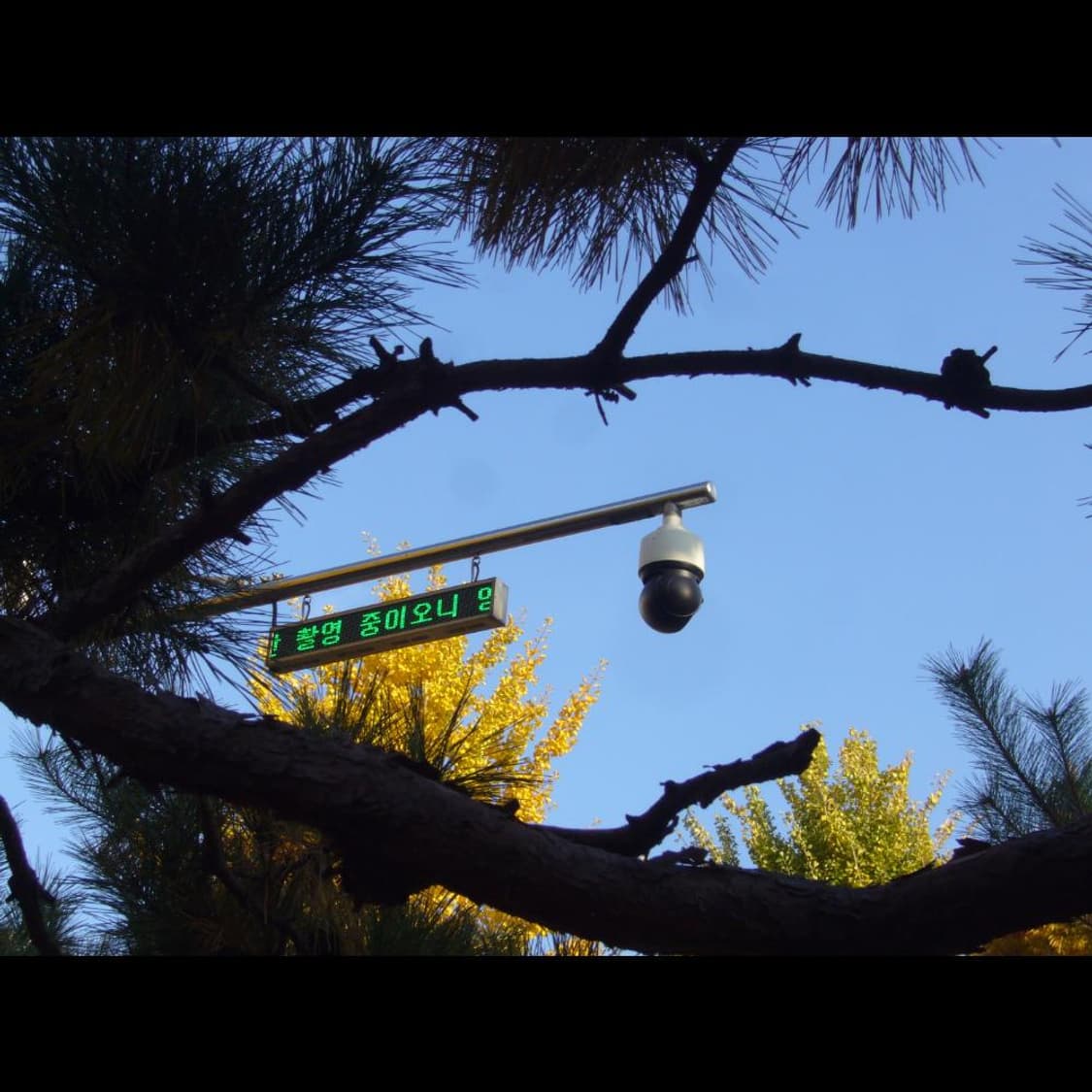 파나소닉 DMC-FX9  실버 메탈릭✨ 빈티지 디카 디지털카메라 상품이미지6