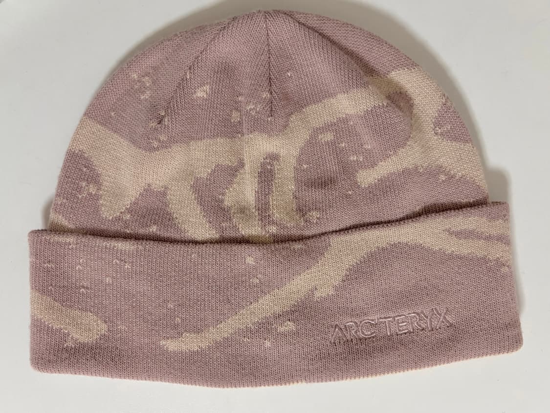 아크테릭스 그로토 토크 비니 상품이미지1