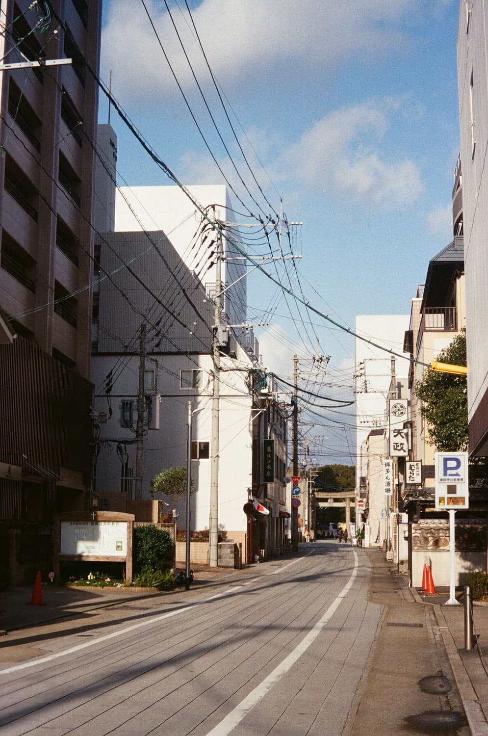 올림푸스 Olympus IZM220 PANORA ZOOM 상품이미지10