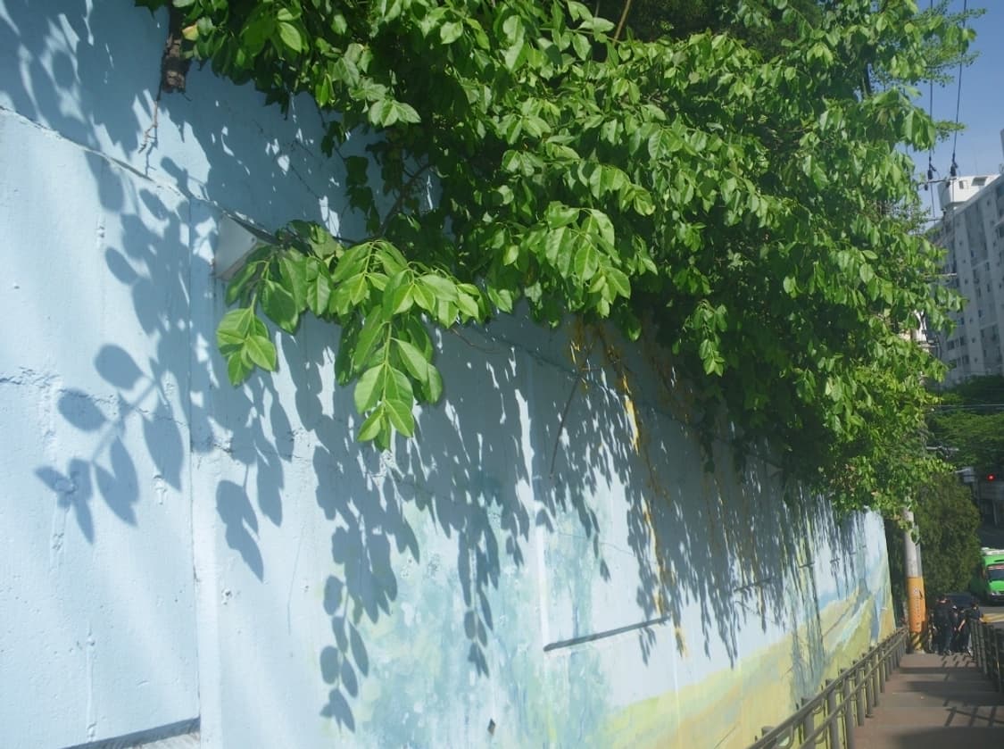 한글지원🤍 펜탁스 옵티오 W60 실버 🤍 상품이미지8