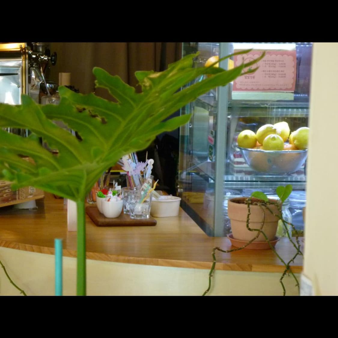 작례⭕️ 파나소닉 루믹스  DMC-FX700 소프트스킨💗 상품이미지5